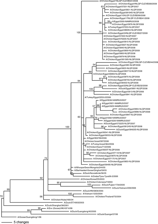 Phylogenetic Analysis Of Hemagglutinin And Neuraminidase Genes Of