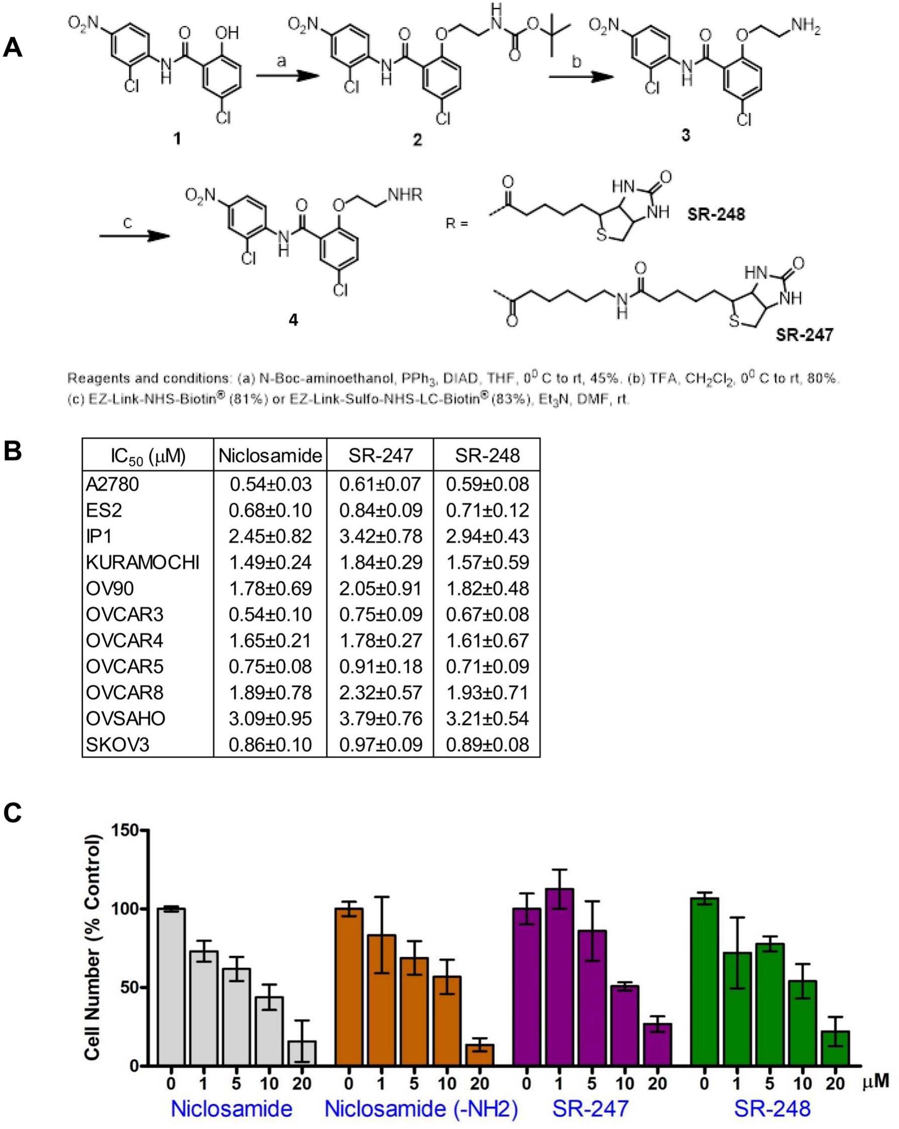 Niclosamide S Potential Direct Targets In Ovarian Cancer