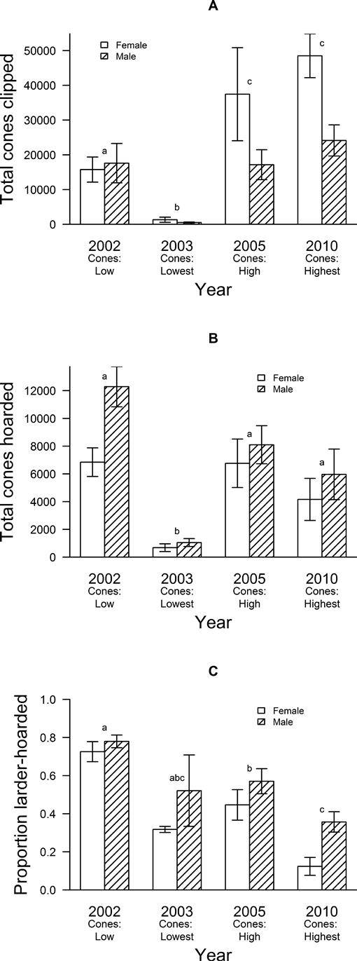 Sex Specific Hoarding Behavior In North American Red Squirrels