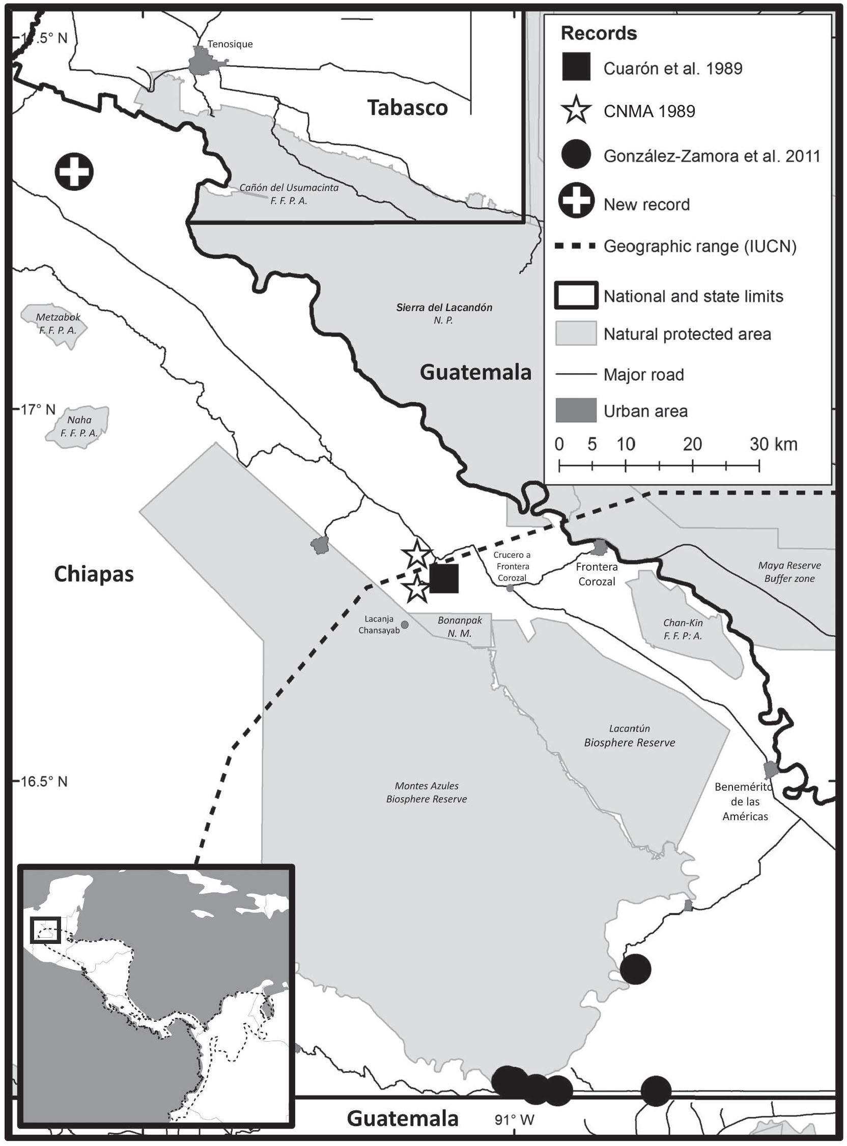 Range Extension Of The Northern Naked Tailed Armadillo Cabassous