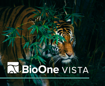 BioOne Vista. A Bengal tiger behind branches in the forest