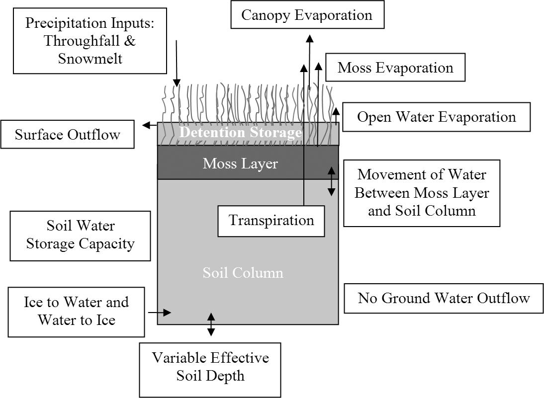 Parameter Sensitivity of the Arctic Biome–BGC Model for Estimating ...