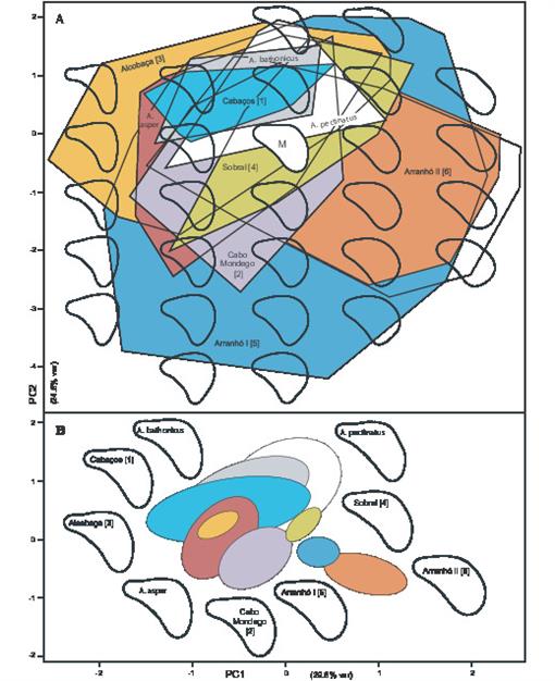 https://bioone.org/ContentImages/Journals/acpp/55/4/app.2009.0062/graphic/WebImages/f11_701.jpg