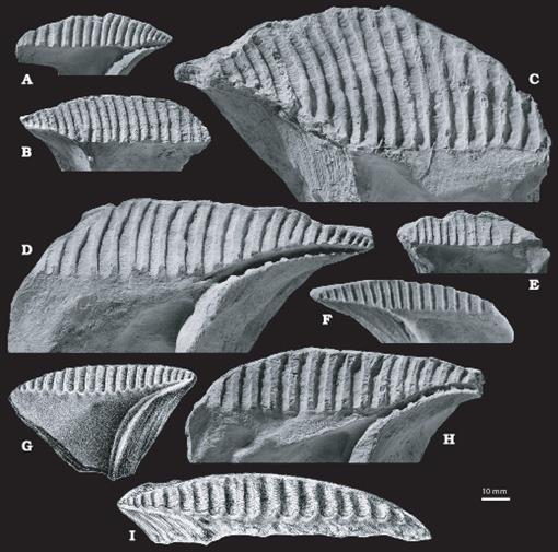 https://bioone.org/ContentImages/Journals/acpp/55/4/app.2009.0062/graphic/WebImages/f15_701.jpg