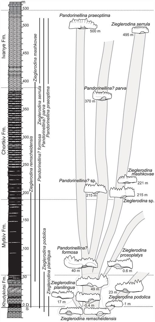 Lochkovian Conodonts From Podolia Ukraine And Their - 