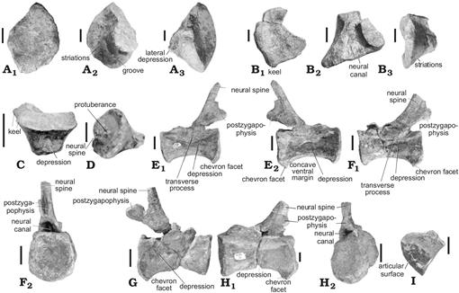 f07_581.jpg