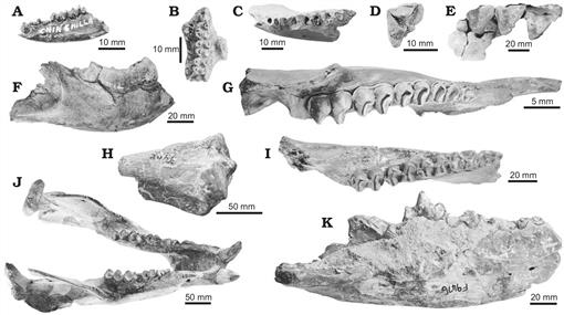 f07_551.jpg