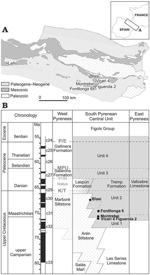 Theropod Dinosaurs from the Upper Cretaceous of the South Pyrenees ...