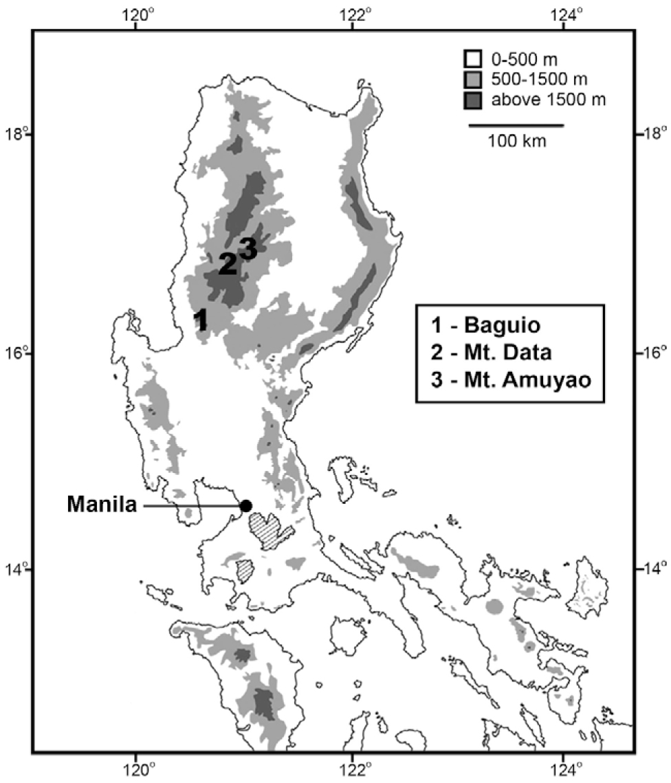 Nyctalus plancyi and Falsistrellus petersi (Chiroptera ...