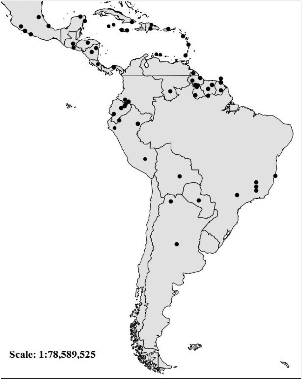 Not All Molossus are Created Equal: Genetic Variation in the Mastiff Bat  Reveals Diversity Masked by Conservative Morphology