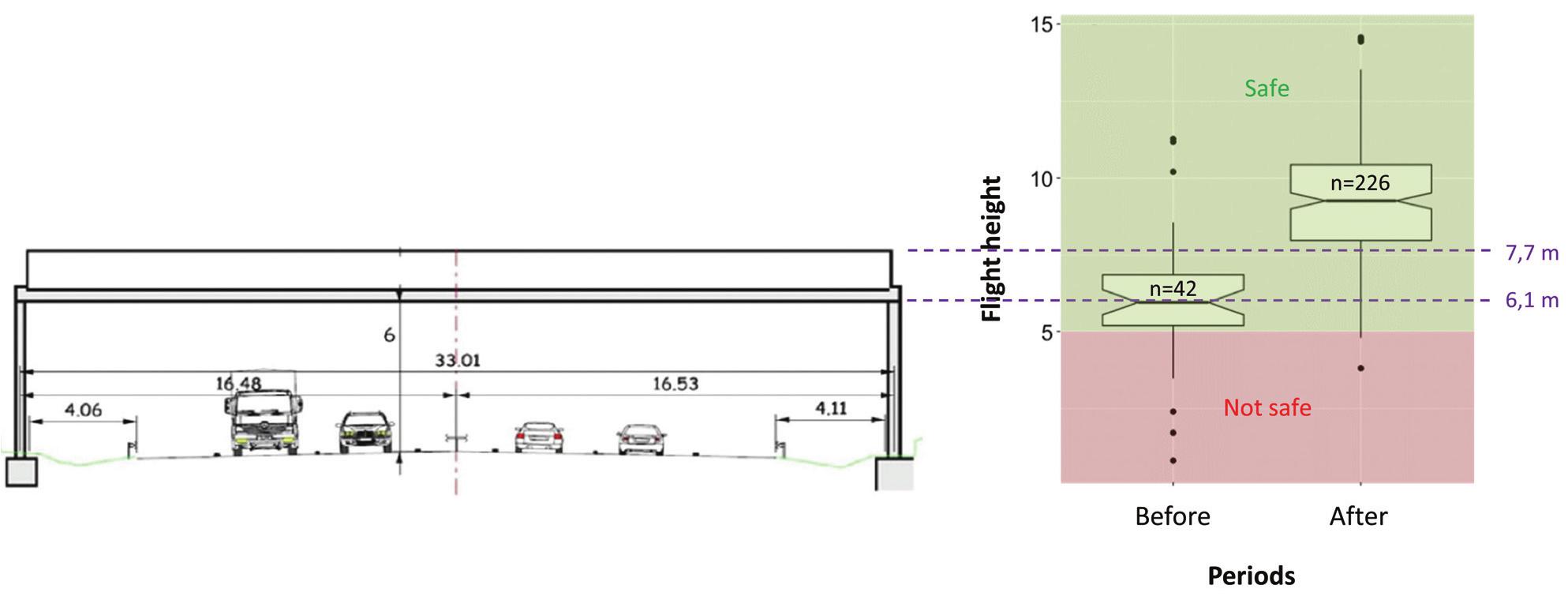 Bat Overpasses Help Bats to Cross Roads Safely by Increasing Their ...