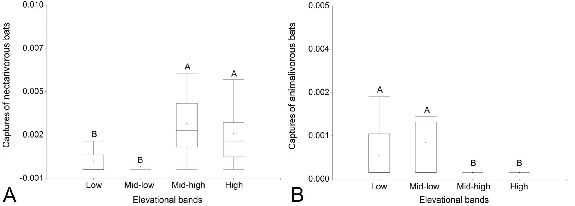 Bat Assemblages along an Elevational Gradient in Costa Rica