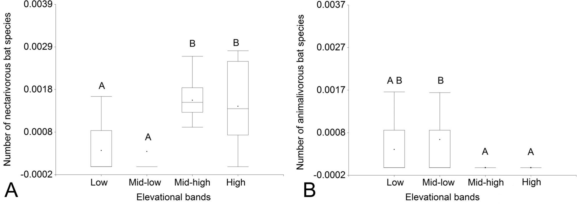 Bat Assemblages along an Elevational Gradient in Costa Rica