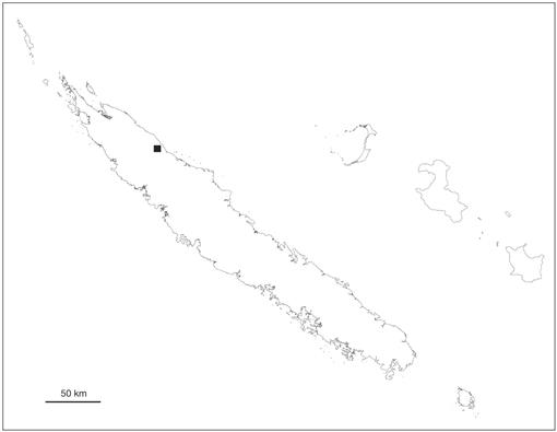 A new species of Symplocos (Symplocaceae) from Mont Panié (New Caledonia)