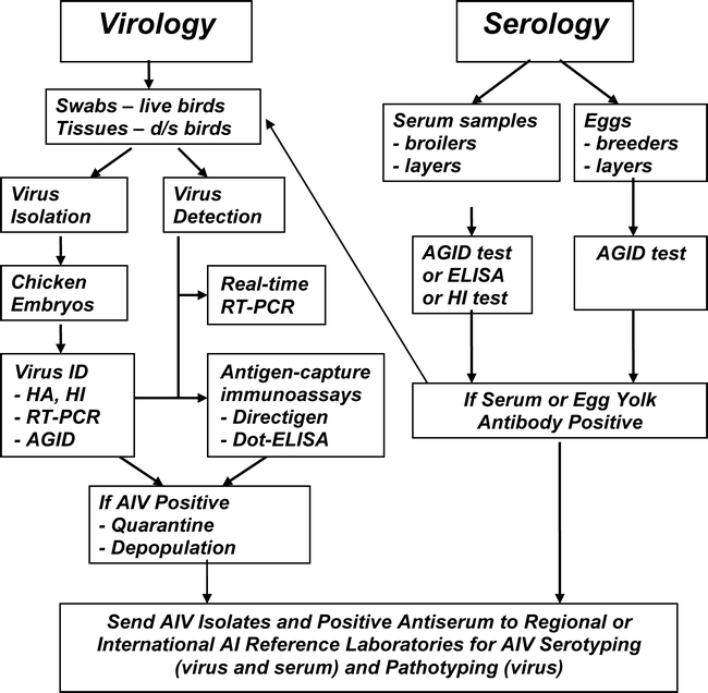 EMERGENCY ASSISTANCE IN LABORATORY DEVELOPMENT FOR THE CONTROL OF AVIAN ...