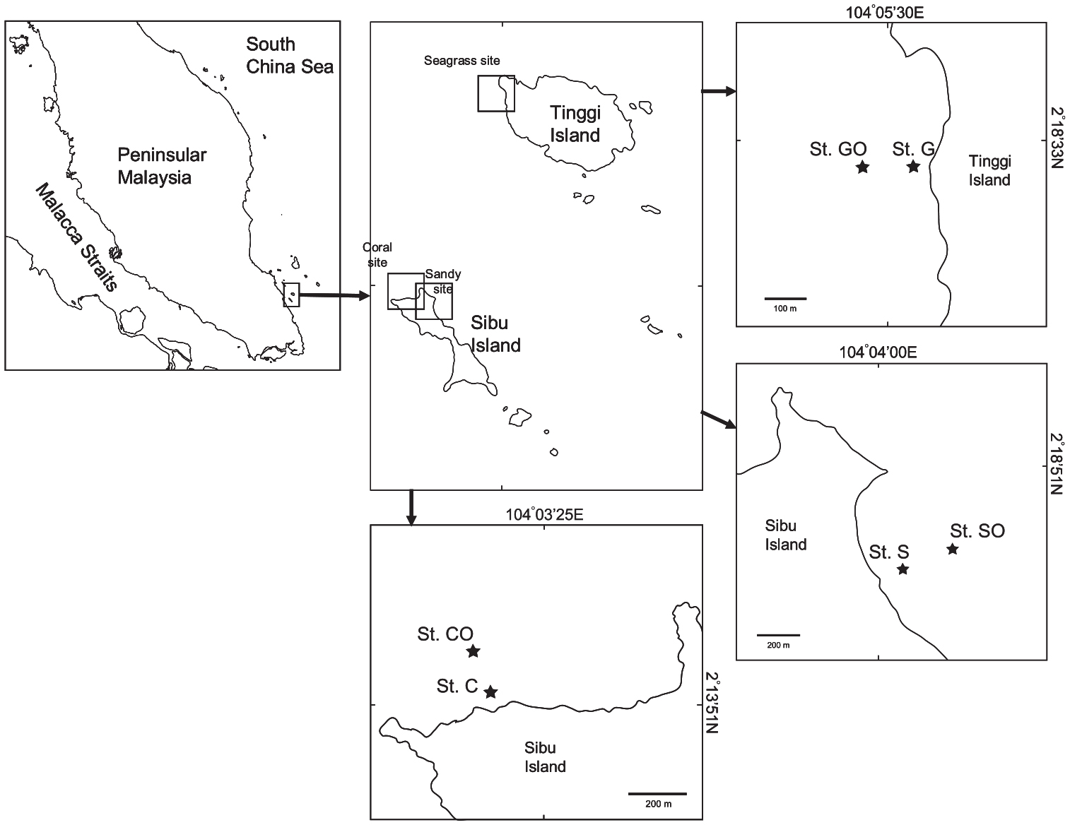 Diel Patterns Of Zooplankton Community Structure In Nearshore Waters Of Different Substrates Off Tinggi And Sibu Islands Malaysia With Special Reference To Copepods