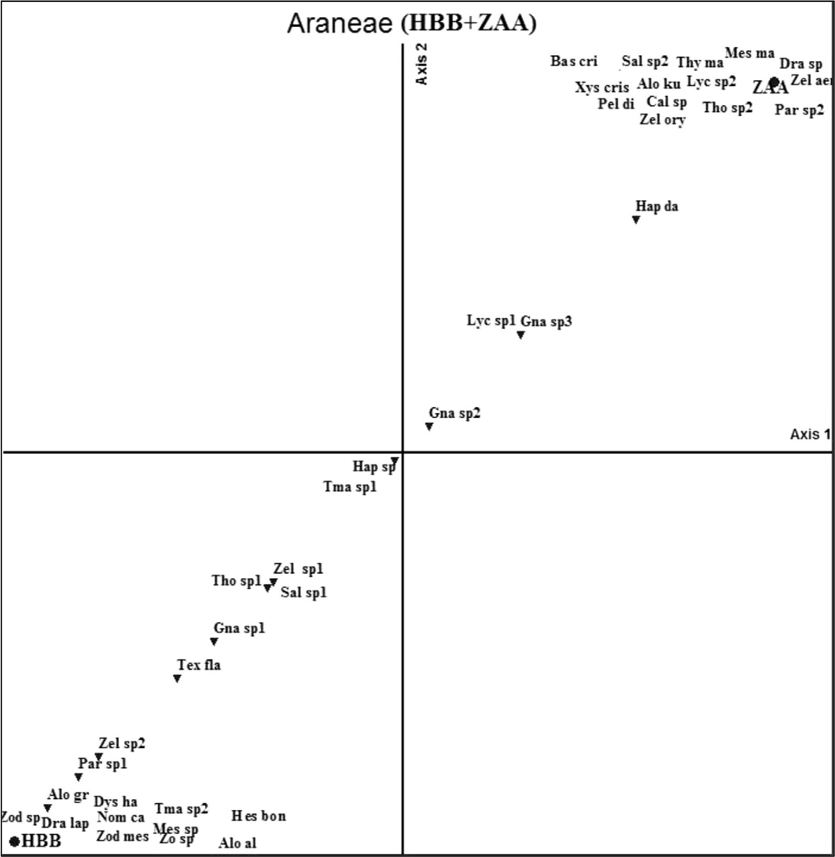 Spider Araneae And Beetle Coleoptera Communities Structure In The North African Streamside Zone Zahrez Gharbi Djelfa Algeria After Reforestation