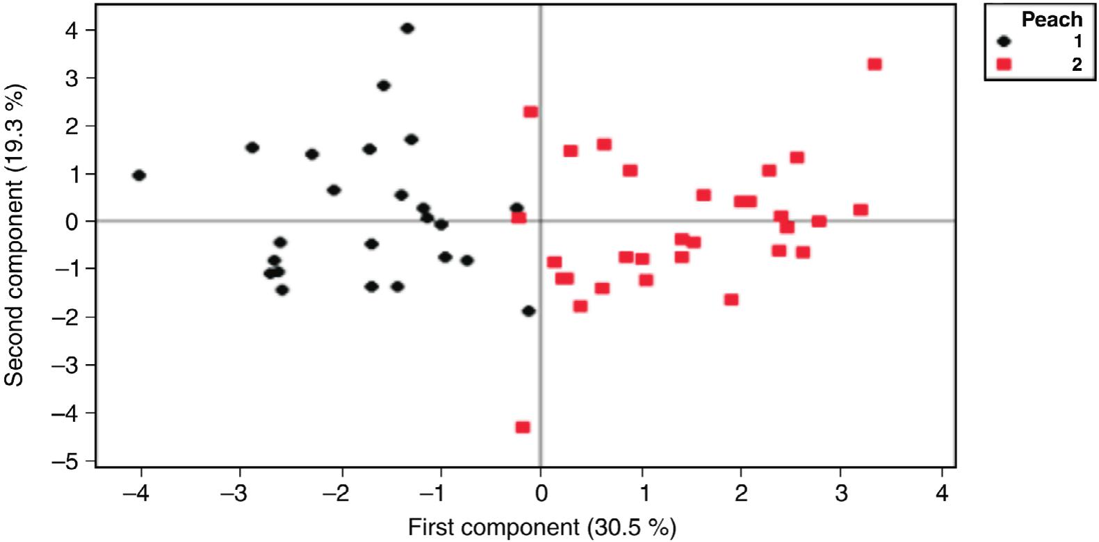 Morphology Genetics And Biology Of Pterochloroides Persicae Cholodkovsky Hemiptera Lachninae And Their Effect On Pauesia Antennata Mukerji Hymenoptera Aphidinae Behaviour