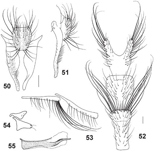 f50_01.jpg