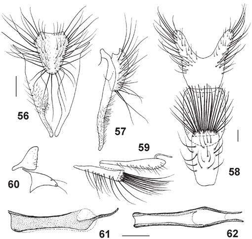 f56_01.jpg