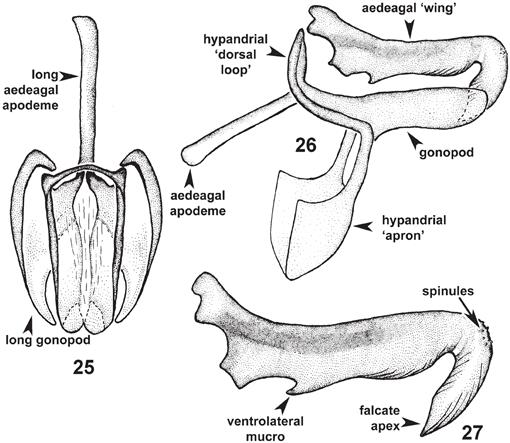 f25_131.jpg