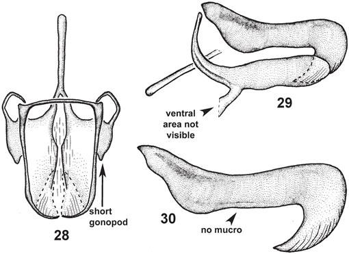 f28_131.jpg