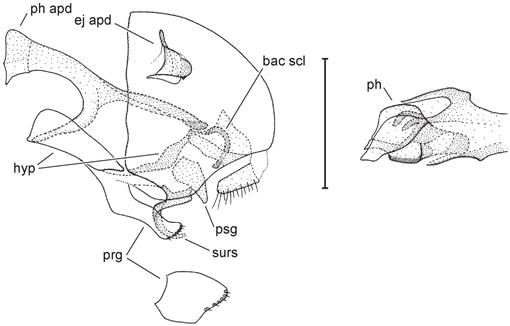 f24_321.jpg