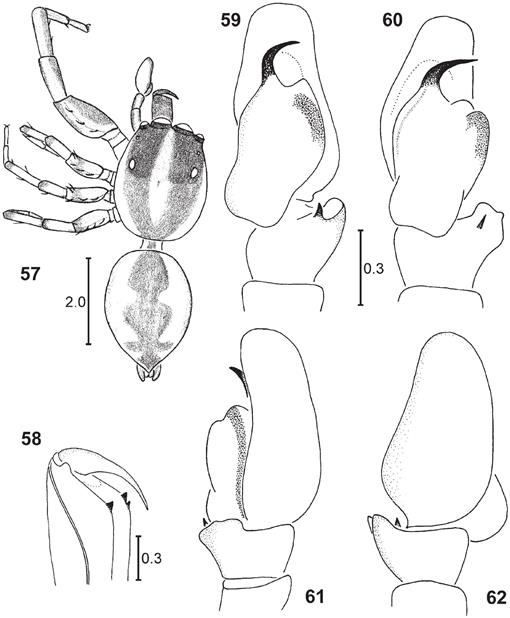 f57_51.jpg