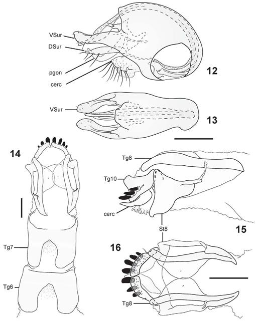 f12_35.jpg