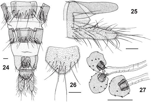 f24_125.jpg