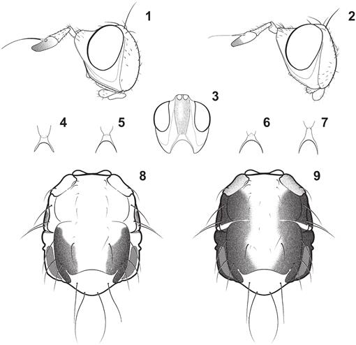 f01_187.jpg