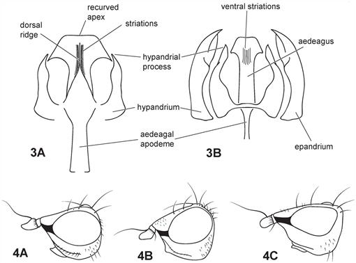 f03_615.jpg