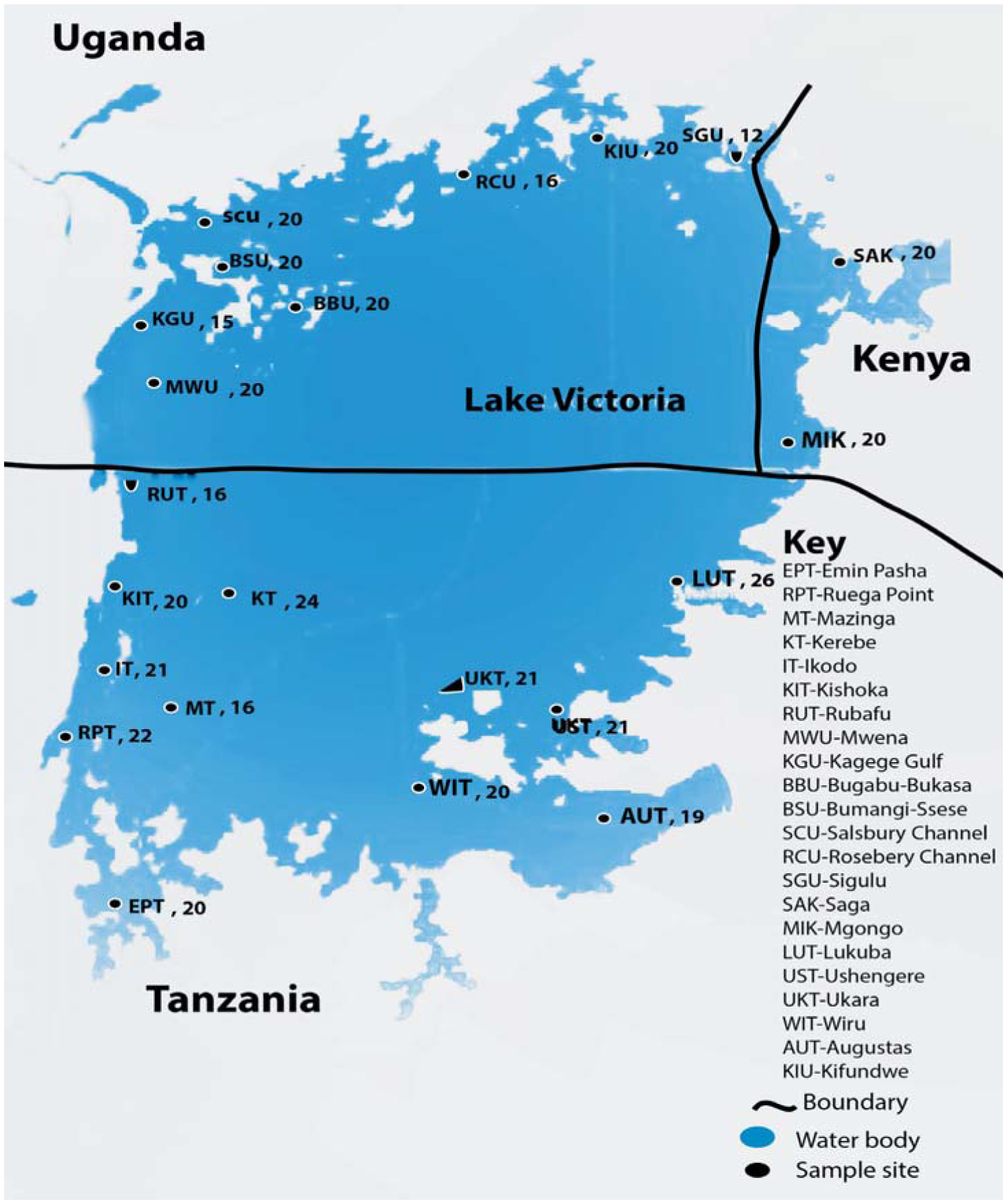 Microsatellite Dna Analyses Reveal Population Subdivisions Among The Recently Introduced Nile Perch Lates Spp In Lake Victoria