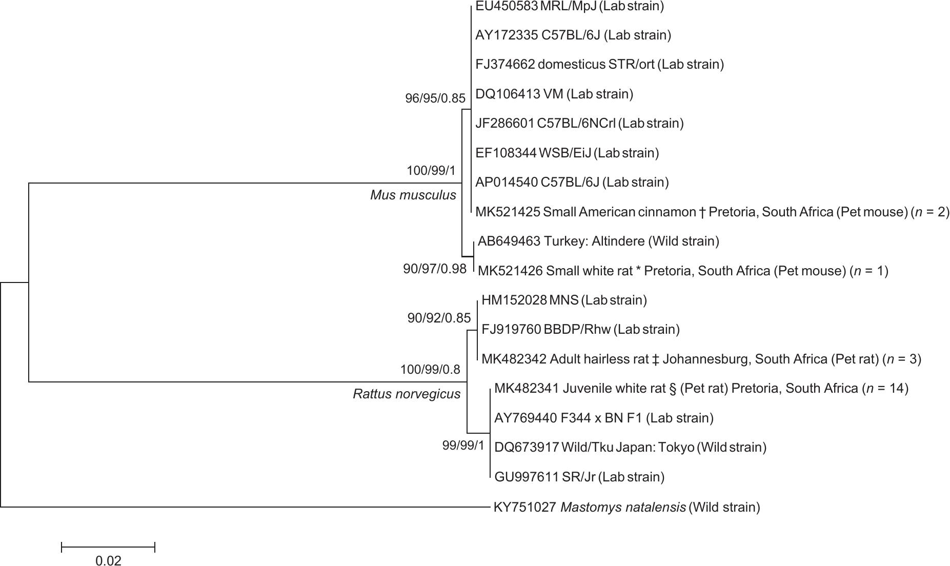 Genetic Identification Of Freely Traded Synanthropic Invasive Murid Rodents In Pet Shops In Gauteng Province South Africa