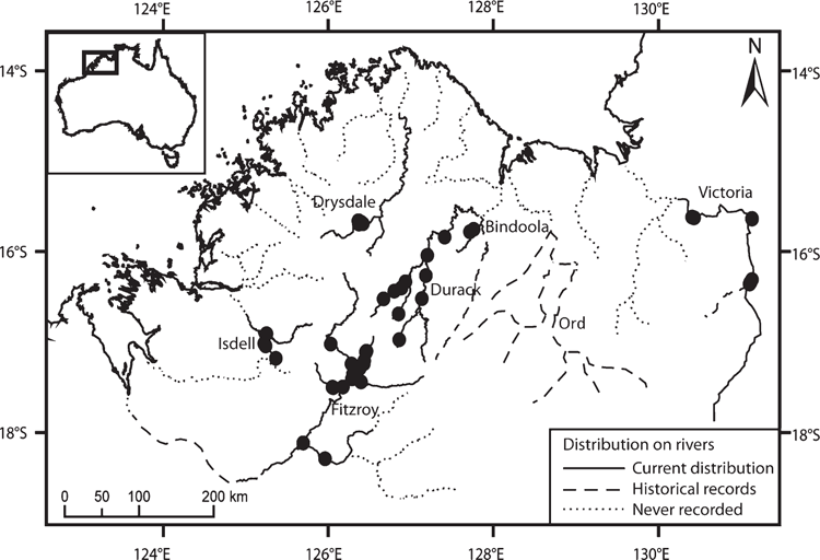 The Population Genetics Of The Western Purple-crowned Fairy-wren 