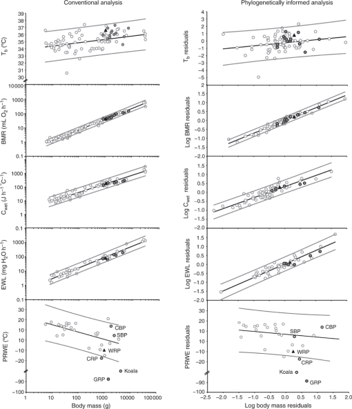 https://bioone.org/ContentImages/Journals/ajoz/68/4/ZO20067/graphic/WebImages/ZO20067_F3.gif