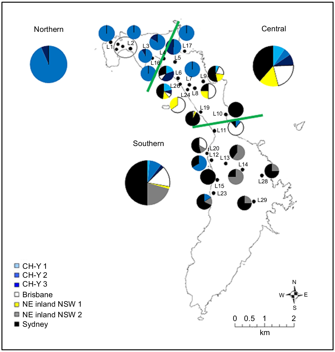 Intraspecific hybridisation of an invasive lizard on Lord Howe Island