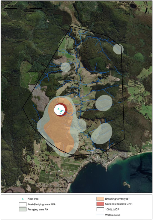 GPS tracking informs nest reserve design for an endangered raptor, the ...