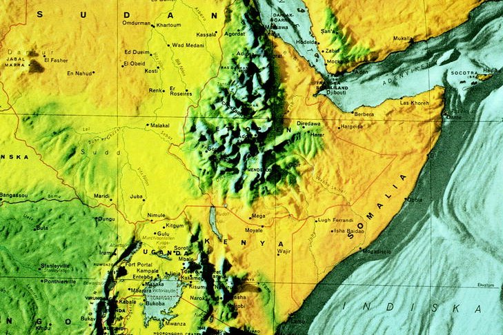 The Indigenous Bamboo Forests of Ethiopia: An Overview