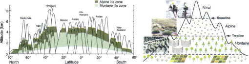 Mountain Biodiversity, Its Causes And Function