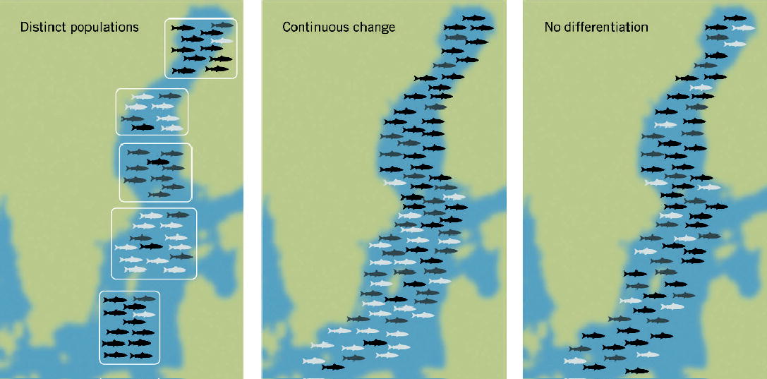 Genetic Population Structure of Fishes: Implications for Coastal Zone ...