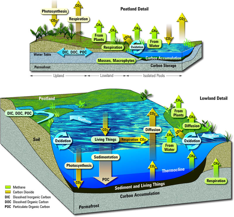 General Features Of The Arctic Relevant To Climate Change In Freshwater ...