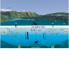 Patagonian Fjord Ecosystems in Southern Chile as a Highly Vulnerable ...