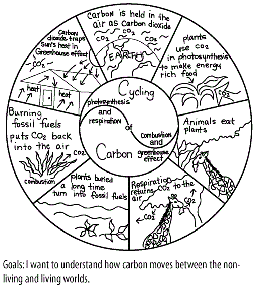 HowToLearn Biology Via Roundhouse Diagrams