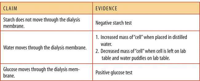 dialysis tubing diffusion