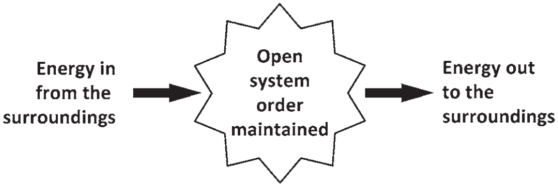 Open System Science Example Understanding the Thermodynamics of Biological Order