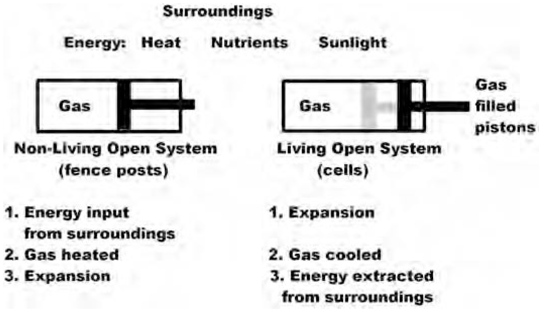 Open System Science Example Understanding the Thermodynamics of Biological Order