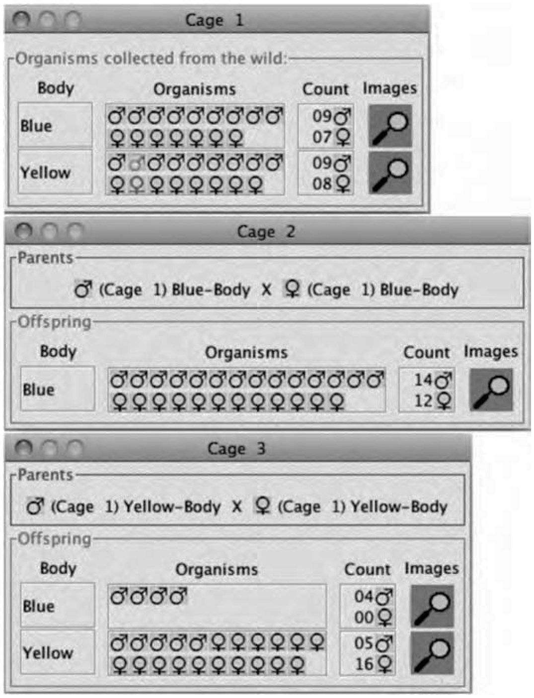 Linux Genetic Code Simulator The Virtual Genetics Lab II: Improvements to a Freely Available ...