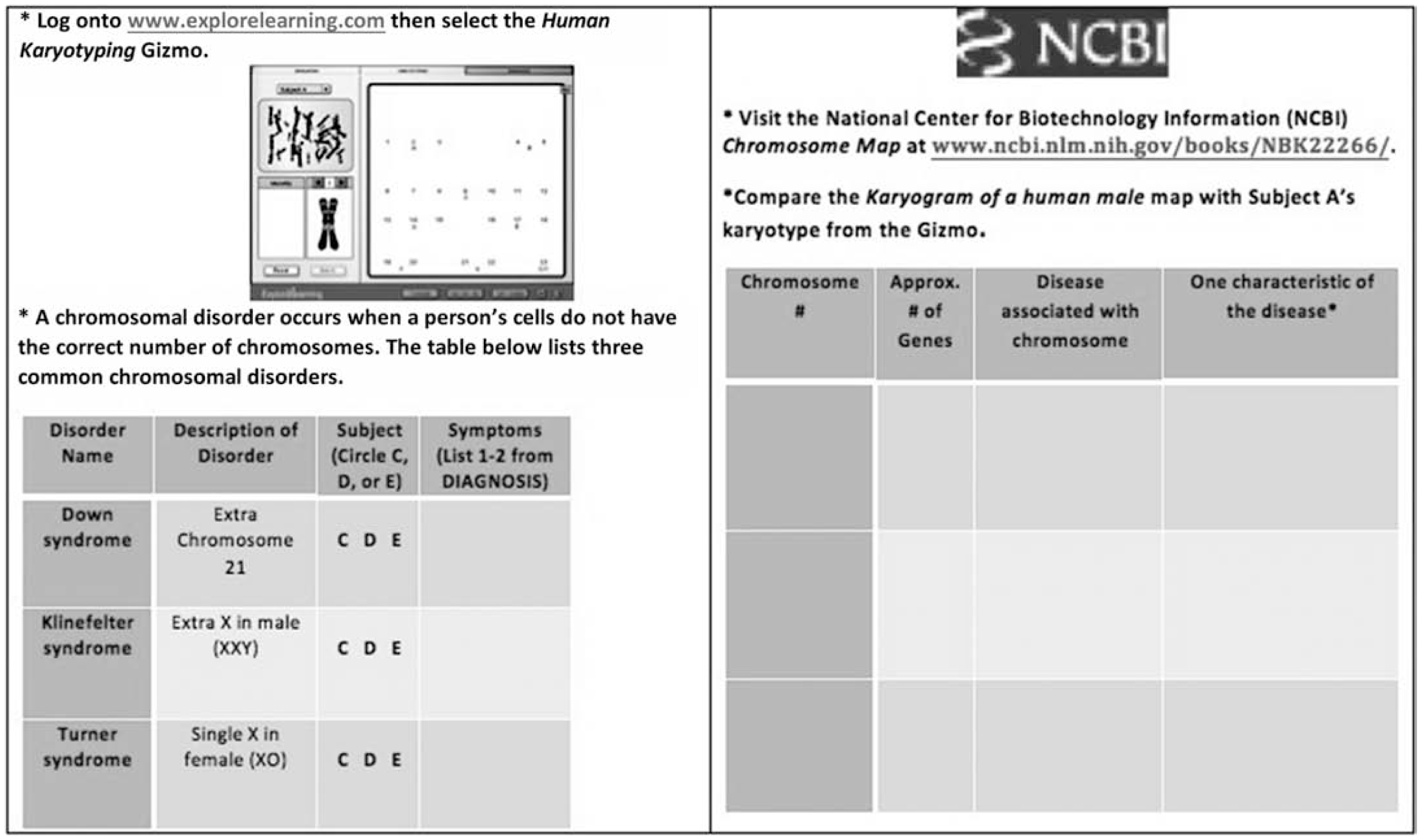 Exploring Contemporary Issues In Genetics Society Karyotyping Biological Sex Gender