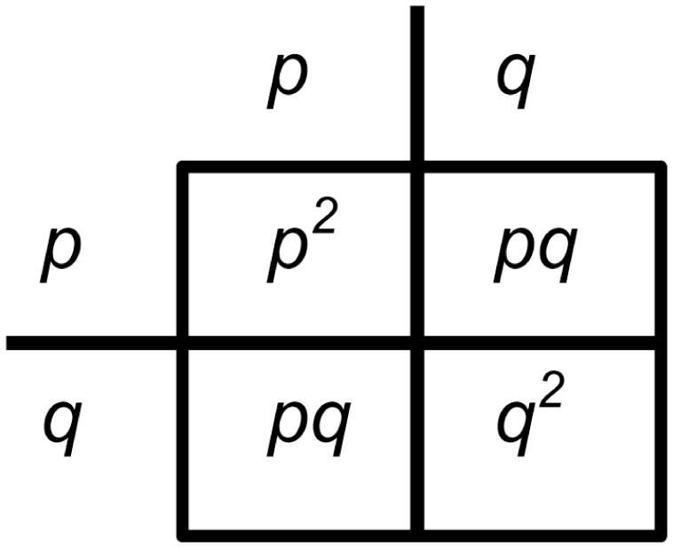 Making Sense Of Hardy Weinberg Equilibrium from bioone.org. 